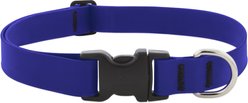 LupinePet Waterproof BioThane Standard Dog Collar, True Blue, Medium: 12 to 20-in neck, 1-in wide