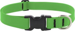 LupinePet Waterproof BioThane Standard Dog Collar, Neon Green, Large: 16 to 28-in neck, 1-in wide