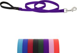 LupinePet Basic Solid Padded Handle Dog Leash, Purple, Regular: 6-ft long, 1/2-in wide