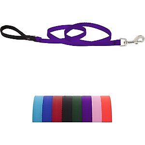 LupinePet Basic Solid Padded Handle Dog Leash, Purple, Regular: 6-ft long, 1/2-in wide