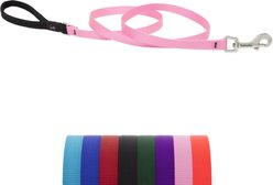 LupinePet Basic Solid Padded Handle Dog Leash, Pink, Regular: 6-ft long, 1/2-in wide