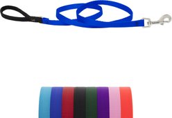 LupinePet Basic Solid Padded Handle Dog Leash, Blue, Regular: 6-ft long, 1/2-in wide