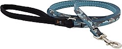 LupinePet Padded Handle Small Dog & Cat Leash, Sand Shark, Regular: 6-ft long, 1/2-in wide