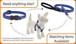 LupinePet Original Designs Sunflowers Dog Collar, Sunflowers, X-Small: 8 to 12-in neck, 1/2-in wide slide 2 of 6