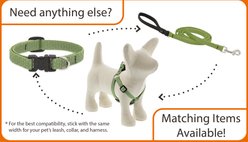 LupinePet ECO Recycled Padded Handle Dog Leash, Moss, Regular: 6-ft long, 1/2-in wide slide 2 of 5