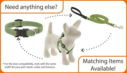 Show full view: LupinePet Eco Dog Collar, Lilac, Small: 10 to 16-in neck, 1/2-in wide slide 4 of 5