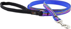 LupinePet Padded Handle Small Dog & Cat Leash, Ripple Creek, Regular: 6-ft long, 1/2-in wide