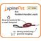 Show in main carousel: LupinePet ECO Recycled Padded Handle Dog Leash, Moss, Regular: 6-ft long, 1/2-in wide slide 3 of 5