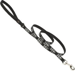 LupinePet Padded Handle Small Dog & Cat Leash, Bling Bonz, Regular: 6-ft long, 1/2-in wide