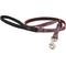 Show in main carousel: LupinePet Padded Handle Small Dog & Cat Leash, El Paso, Regular: 6-ft long, 1/2-in wide slide 1 of 7