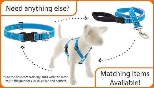 Show full view: LupinePet Reflective Paws 1-in Martingale Training Dog Collar, Pink Paws, Large: 15 to 22-in slide 6 of 7