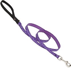 LupinePet Padded Handle Small Dog & Cat Leash, Jelly Roll, Regular: 6-ft long, 1/2-in wide