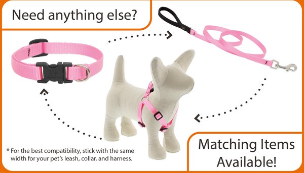 Show full view: LupinePet Basic Solid Dog Collar, Pink, X-Small: 8 to 12-in neck, 1/2-in wide slide 4 of 6