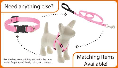 Show full view: LupinePet Basic Solid Dog Collar, Black, Small: 10 to 16-in neck, 1/2-in wide slide 4 of 6