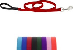 LupinePet Basic Solid Padded Handle Dog Leash, Red, Regular: 6-ft long, 1/2-in wide