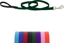 LupinePet Basic Solid Padded Handle Dog Leash, Green, Regular: 6-ft long, 1/2-in wide