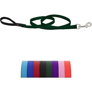 LupinePet Basic Solid Padded Handle Dog Leash, Green, Regular: 4-ft long, 1/2-in wide