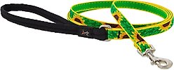 LupinePet Padded Handle Small Dog & Cat Leash, Sunflowers, Regular: 6-ft long, 1/2-in wide