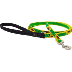 LupinePet Padded Handle Small Dog & Cat Leash, Sunflowers, Regular: 4-ft long, 1/2-in wide