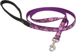 LupinePet Padded Handle Small Dog & Cat Leash, Rose Garden, Regular: 6-ft long, 1/2-in wide