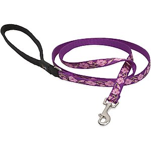 LupinePet Padded Handle Small Dog & Cat Leash, Rose Garden, Regular: 6-ft long, 1/2-in wide