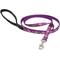 Show in main carousel: LupinePet Padded Handle Small Dog & Cat Leash, Rose Garden, Regular: 6-ft long, 1/2-in wide slide 1 of 7