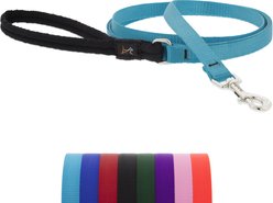 LupinePet Basic Solid Padded Handle Dog Leash, Aqua, Regular: 6-ft long, 1/2-in wide