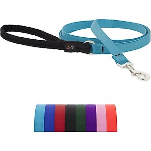 LupinePet Basic Solid Padded Handle Dog Leash, Aqua, Regular: 4-ft long, 1/2-in wide