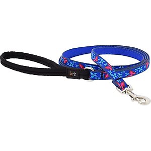 LupinePet Padded Handle Small Dog & Cat Leash, Social Butterfly, Regular: 4-ft long, 1/2-in wide
