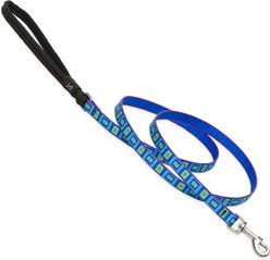 LupinePet Padded Handle Small Dog & Cat Leash, Sea Glass, Regular: 6-ft long, 1/2-in wide