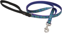 LupinePet Padded Handle Small Dog & Cat Leash, Rain Song, Regular: 6-ft long, 1/2-in wide slide 1 of 6