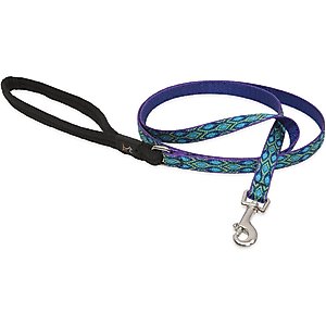 LupinePet Padded Handle Small Dog & Cat Leash, Rain Song, Regular: 4-ft long, 1/2-in wide