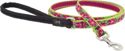 LupinePet Padded Handle Small Dog & Cat Leash, Petunias, Regular: 6-ft long, 1/2-in wide