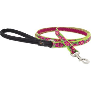 LupinePet Padded Handle Small Dog & Cat Leash, Petunias, Regular: 6-ft long, 1/2-in wide