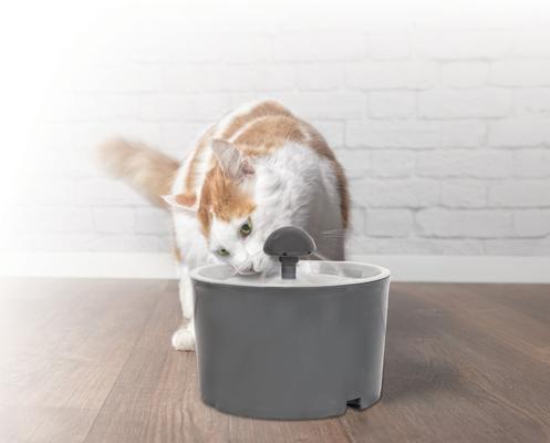 Show full view: Pet-Able Eco Bamboo Cat Water Fountain, Gray, Small: 1.6-L slide 3 of 4