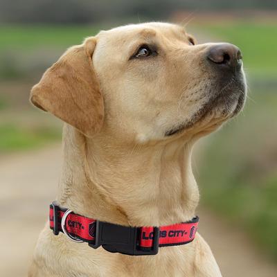 Show full view: Pets First MLS Team Satin Nylon Dog Collar, Large: 28-in neck, 1-in wide, St. Louis SC slide 5 of 5