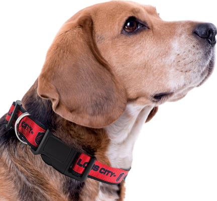 Show full view: Pets First MLS Team Satin Nylon Dog Collar, Large: 28-in neck, 1-in wide, St. Louis SC slide 4 of 5