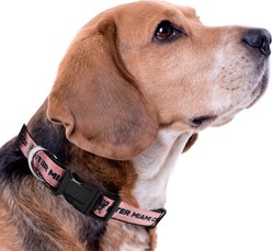 Pets First MLS Team Satin Nylon Dog Collar, Large: 28-in neck, 1-in wide, Inter Miami CF slide 2 of 5