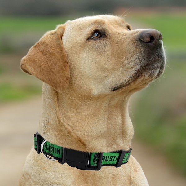 Show full view: Pets First MLS Team Satin Nylon Dog Collar, Medium: 18-in neck, 1-in wide, Austin FC slide 5 of 5