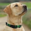 Show in main carousel: Pets First MLS Team Satin Nylon Dog Collar, Medium: 18-in neck, 1-in wide, Austin FC slide 5 of 5