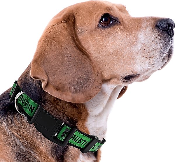 Show full view: Pets First MLS Team Satin Nylon Dog Collar, Medium: 18-in neck, 1-in wide, Austin FC slide 4 of 5
