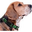 Show in main carousel: Pets First MLS Team Satin Nylon Dog Collar, Medium: 18-in neck, 1-in wide, Austin FC slide 4 of 5