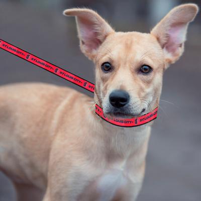 Show full view: Pets First MLS Team Satin Nylon Dog Leash, Large: 6-ft long, 1-in wide, St. Louis SC slide 4 of 4