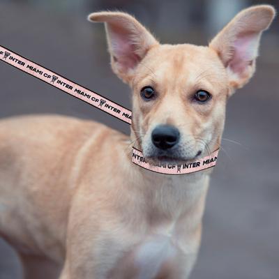 Show full view: Pets First MLS Team Satin Nylon Dog Leash, Medium: 4-ft long, 5/8-in wide, Inter Miami CF slide 4 of 4