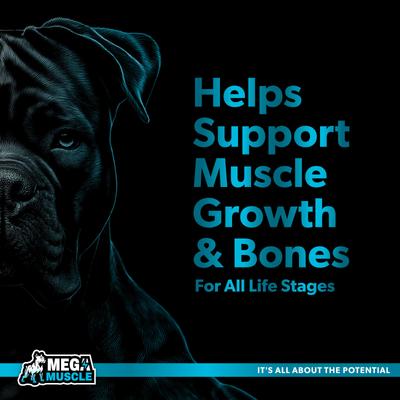 Show full view: PetBeing Mega Muscle Bone Support Powder Dog Food Topper, 3.2-oz slide 8 of 10