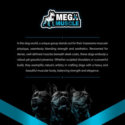 Show full view: PetBeing Mega Muscle Bone Support Powder Dog Food Topper, 3.2-oz slide 9 of 10