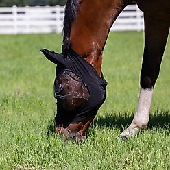 Equinavia Bug Out Horse Fly Mask, Black, Warmblood