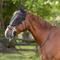 Show in main carousel: Horze Bridle Horse Fly Mask, Black, Large slide 2 of 4