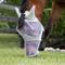 Show in main carousel: Equinavia Algard Soft Mesh Long Nose Horse Fly Mask, Silver, Warmblood slide 5 of 5