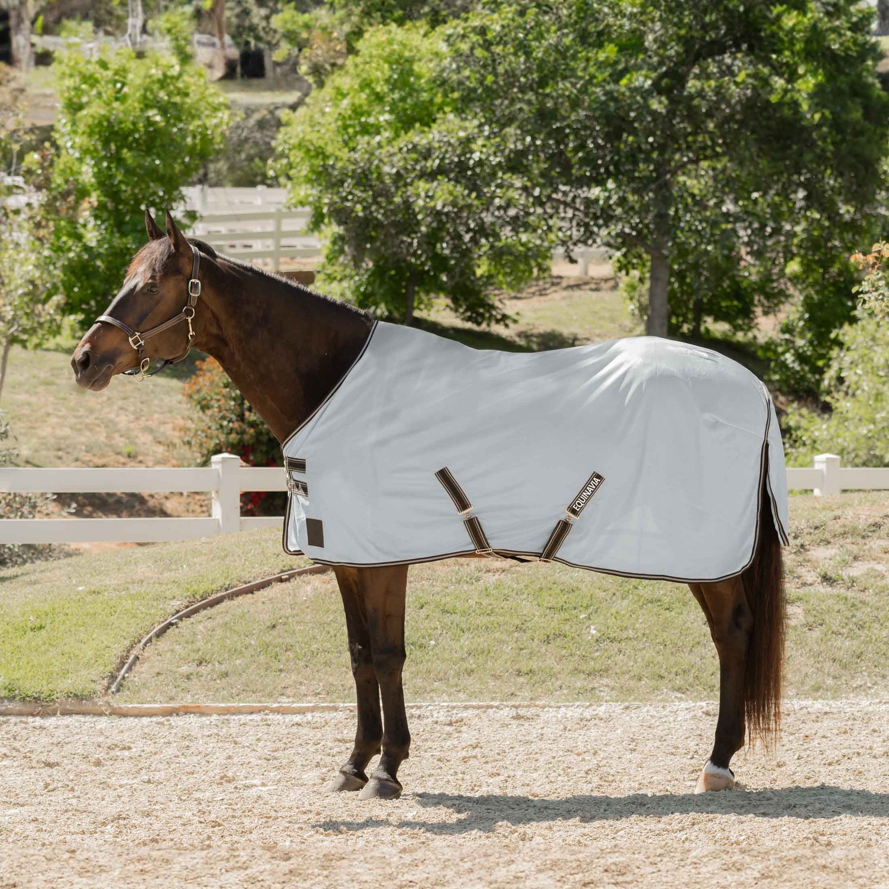 Equinavia Gard Horse Fly Sheet, Silver Gray, 75-in